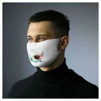 zdjęcie4