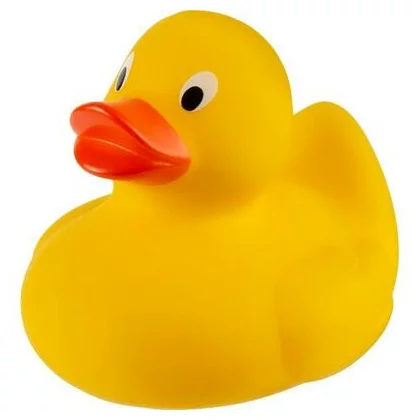 zdjęcie0