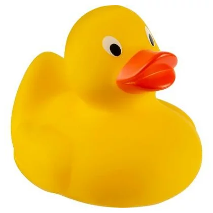 zdjęcie2