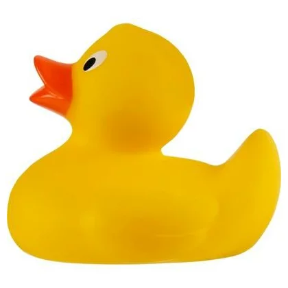 zdjęcie4