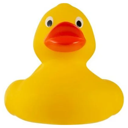 zdjęcie6