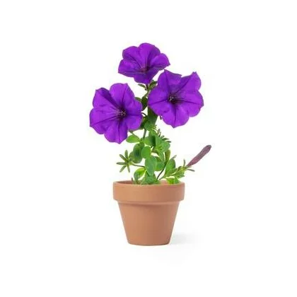 zdjęcie0