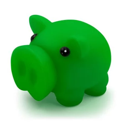 zdjęcie1