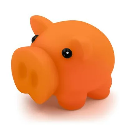 zdjęcie1