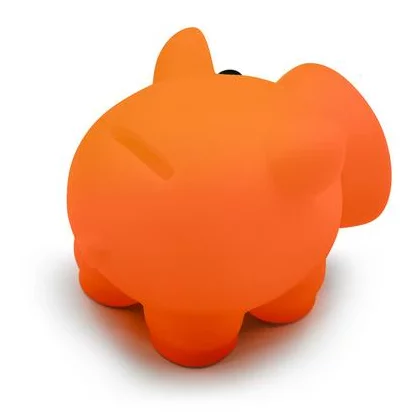 zdjęcie3