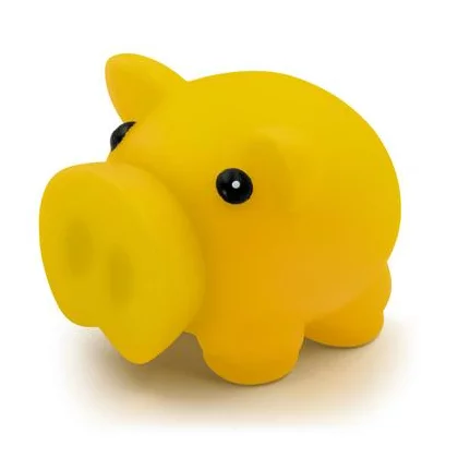 zdjęcie1